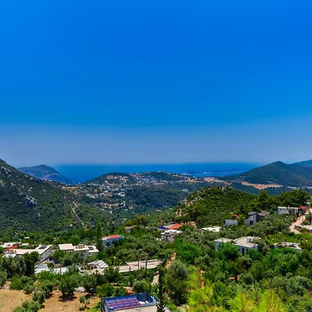 Safi 빌라